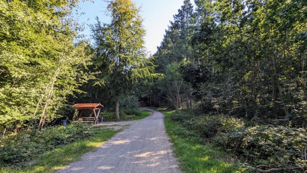 Waldweg mit Schutzhütte zwischen Ückeritz und Bansin