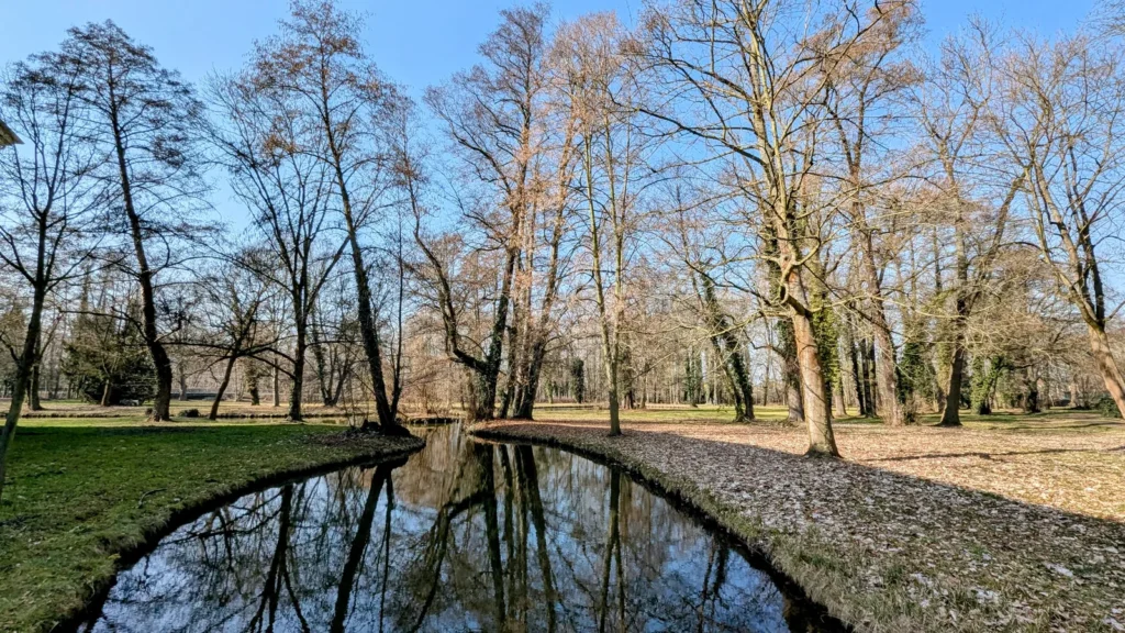 Wassergraben im Schlosspark Vetschau zwischen kahlen Bäumen