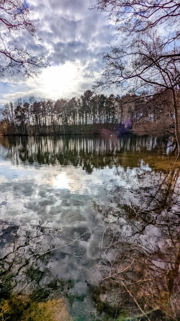 Tonstich mit Spiegelung der Uferbäume