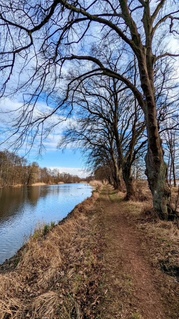 Uferweg mit alten Bäumen vor Zehdenick