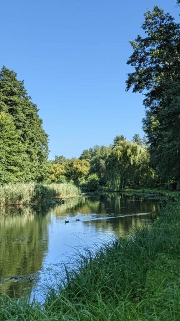 Templiner Kanal mit Enten und Uferbewuchs