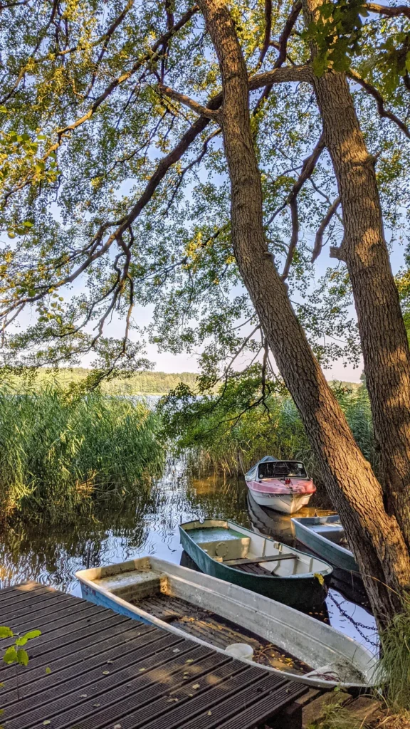 Boote am Ufer zwischen Hammelspring und Hindenburg