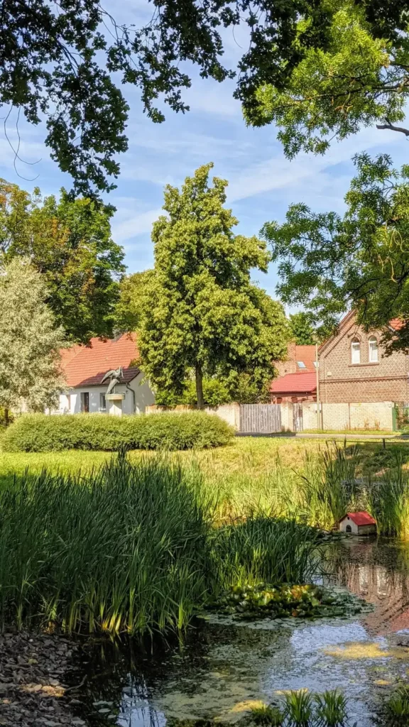 Dorfteich in Wartenberg mit Schilf am Ufer, dahinter die Häuser des alten Dorfkerns