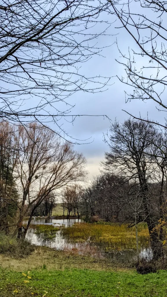 Teich im Laubwald bei Himmelpforte