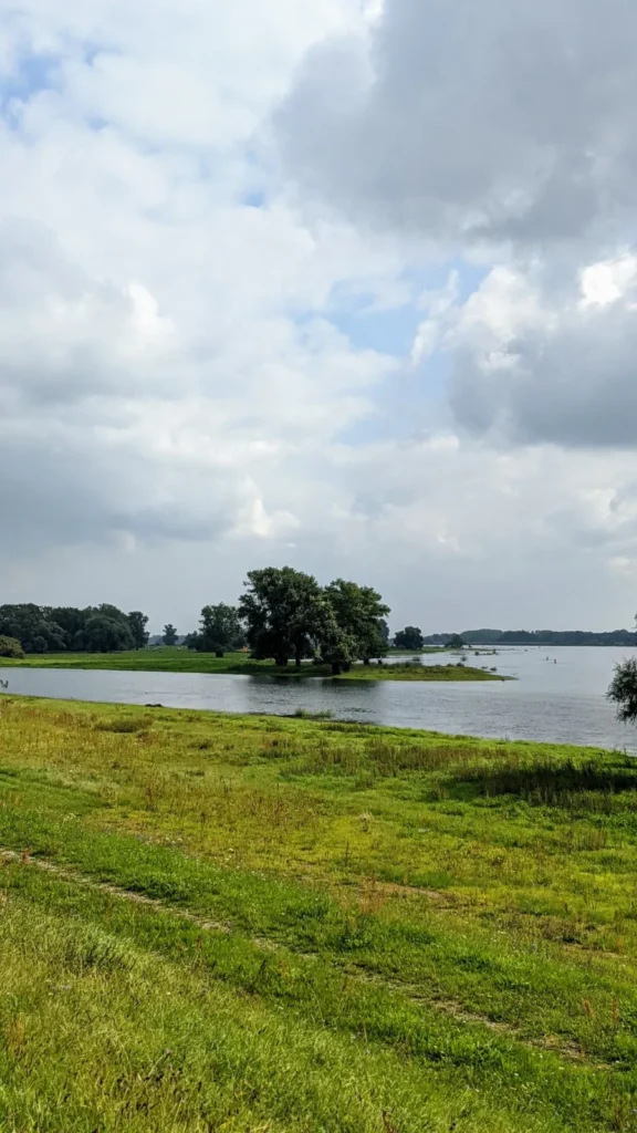 Elbe mit einer Baumgruppe auf einer Insel, davor die Deichböschung im Elbvorland bei Rühstädt