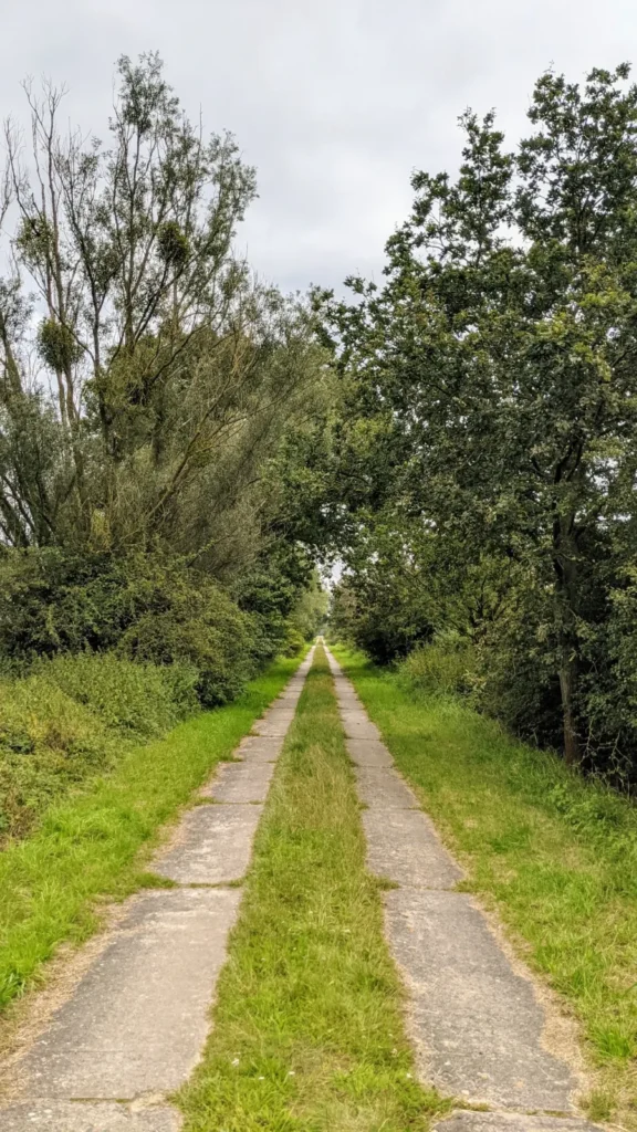 Betonplattenweg mit Grasstreifen zwischen Büschen und Bäumen zwischen Hinzdorf und Rühstädt