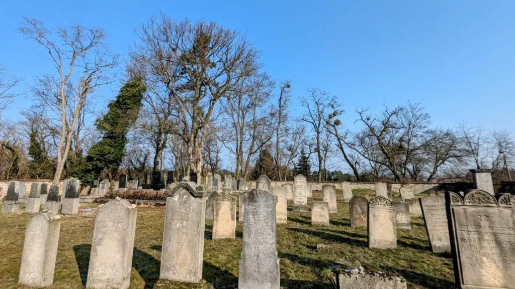 Reihen alter, aufrecht stehender Grabsteine auf dem jüdischen Friedhof in Wriezen, dahinter kahle Bäume