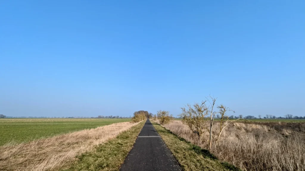 Schmaler, schnurgerader Asphaltweg auf einem niedrigen Damm zwischen Feldern, darüber wolkenloser Himmel