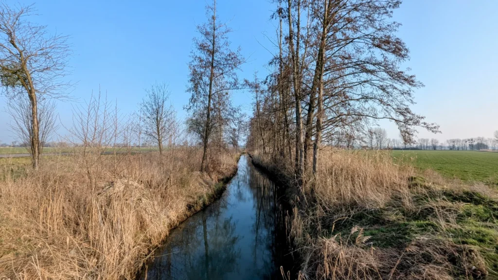Schnurgerader Wassergraben zwischen trockenem Schilf und kahlen Bäumen, rechts ein grünes Feld