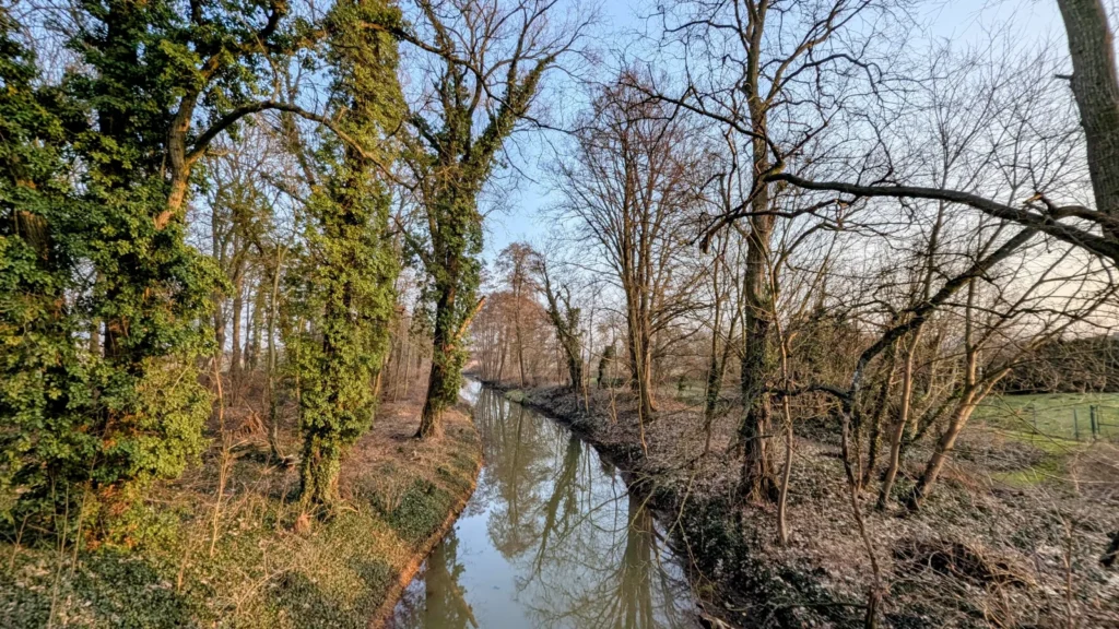 Schmaler Wasserlauf am Rand des Schlossparks Altranft, am Ufer efeubewachsene Bäume