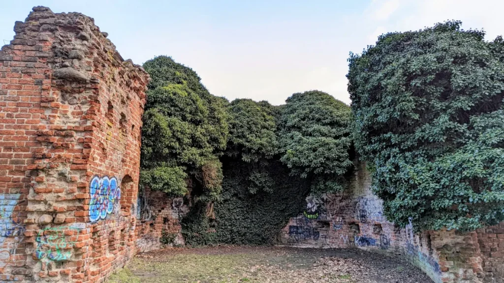 Bastion der früheren Burg Zossen, Backsteinmauer mit Efeu