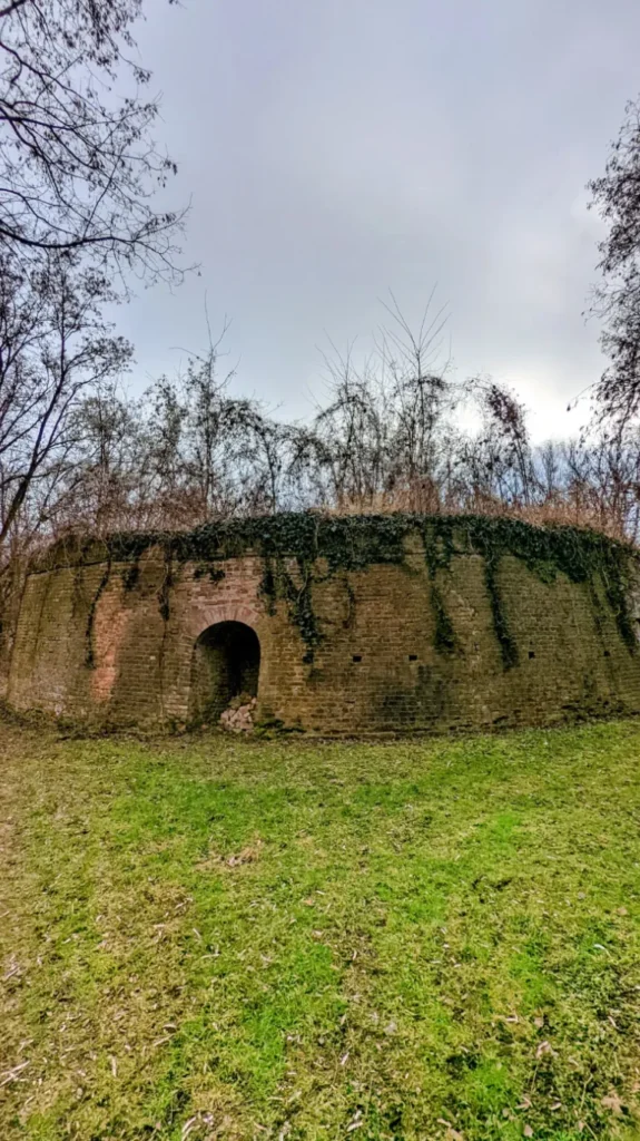 Überwachsene Ruine eines Ringofens in Klausdorf