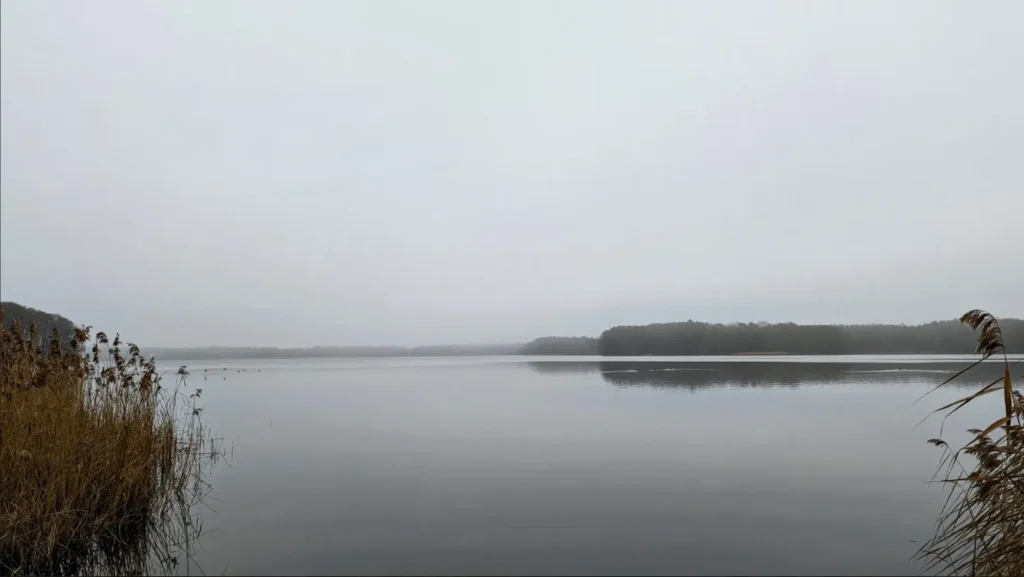 Großer Wünsdorfer See im Dunst, vorn Schilf