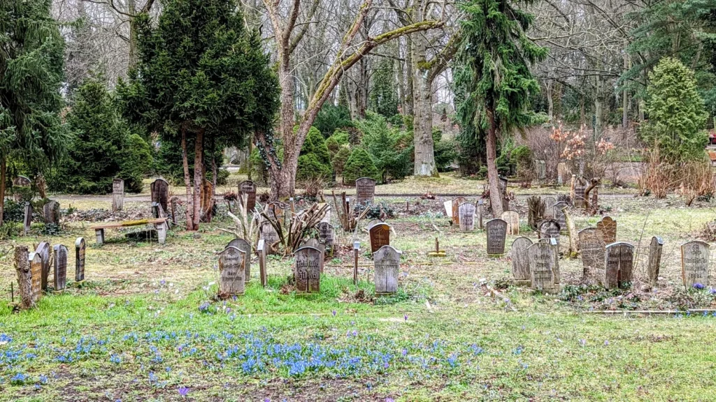 Feld mit alten Grabsteinen zwischen Bäumen auf dem Zentralfriedhof Friedrichsfelde