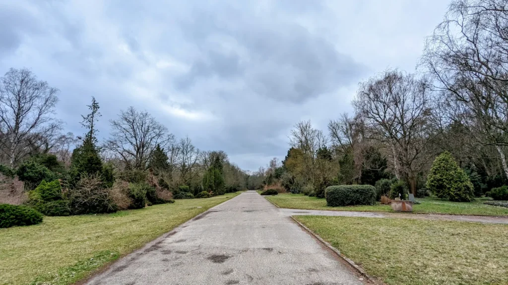 Breite Allee mit Rasenstreifen und alten Bäumen auf dem Zentralfriedhof Friedrichsfelde